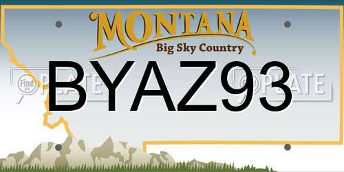 BYAZ93 Montana License Plate