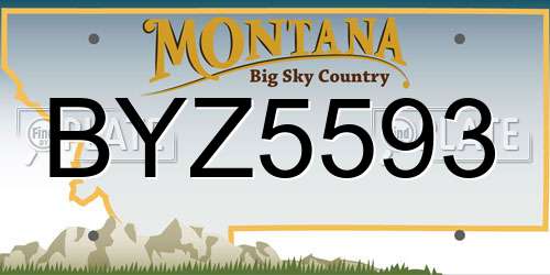 BYZ5593 Montana License Plate