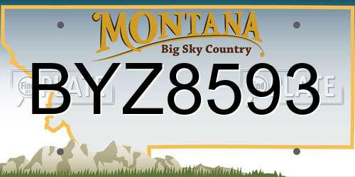 BYZ8593 Montana License Plate