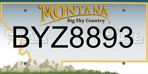 BYZ8893 Montana License Plate