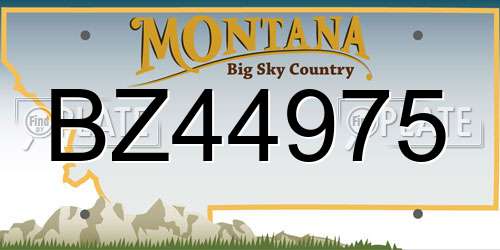 BZ44975 Montana License Plate