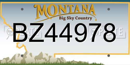 BZ44978 Montana License Plate