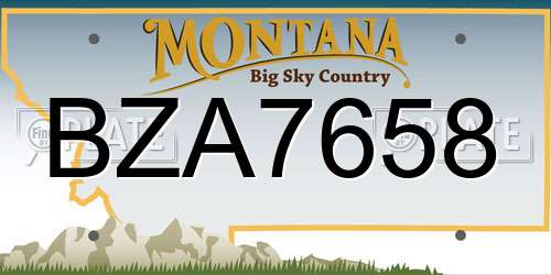 BZA7658 Montana License Plate