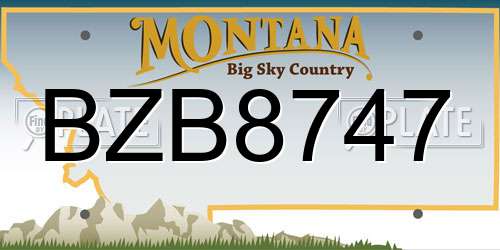 BZB8747 Montana License Plate