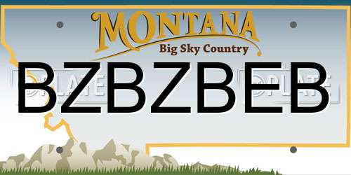 BZBZBEB Montana License Plate