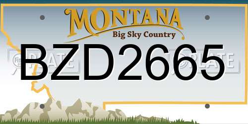 BZD2665 Montana License Plate