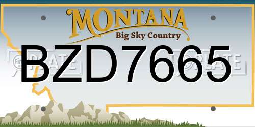 BZD7665 Montana License Plate