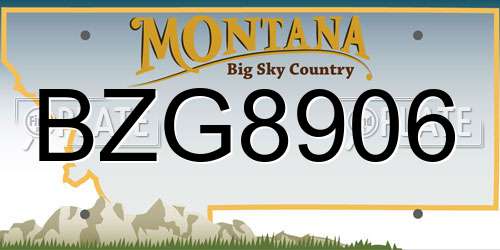 BZG8906 Montana License Plate