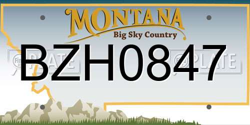 BZH0847 Montana License Plate