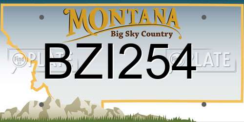 BZI254 Montana License Plate