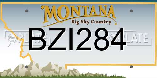 BZI284 Montana License Plate