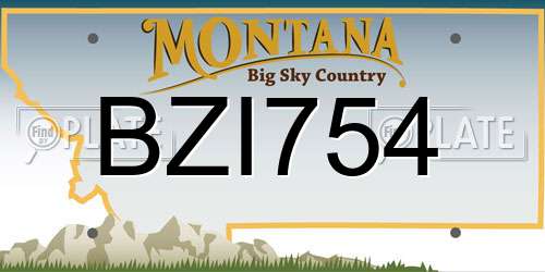 BZI754 Montana License Plate