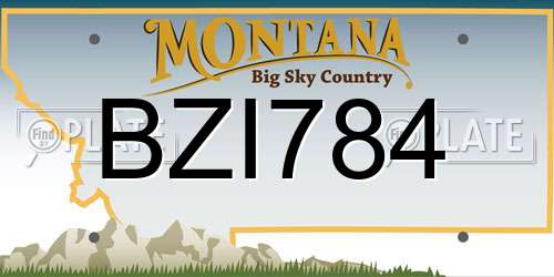 BZI784 Montana License Plate