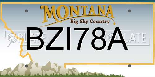 BZI78A Montana License Plate