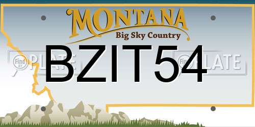BZIT54 Montana License Plate