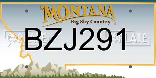 BZJ291 Montana License Plate