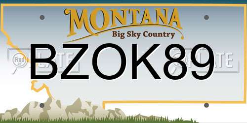 BZOK89 Montana License Plate