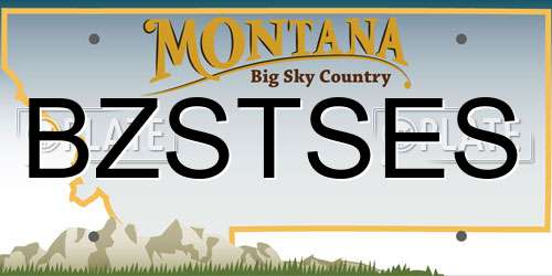 BZSTSES Montana License Plate