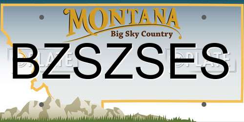 BZSZSES Montana License Plate