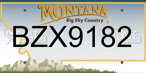 BZX9182 Montana License Plate