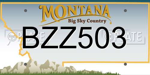 BZZ503 Montana License Plate