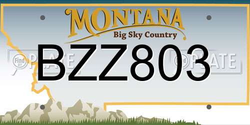 BZZ803 Montana License Plate