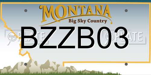 BZZB03 Montana License Plate
