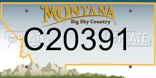 C20391 Montana License Plate