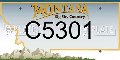 C5301 Montana License Plate