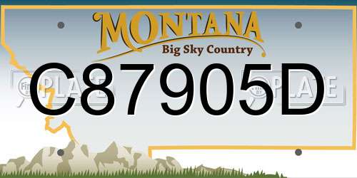 C87905D Montana License Plate