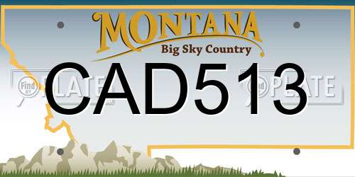 CAD513 Montana License Plate