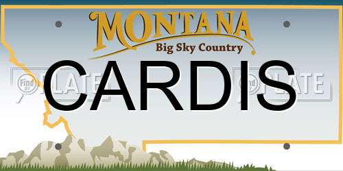 CARDIS Montana License Plate