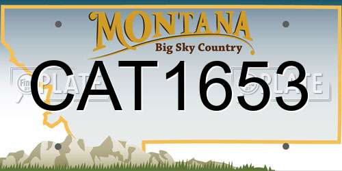 CAT1653 Montana License Plate