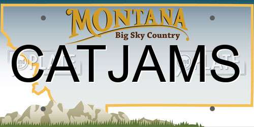 CATJAMS Montana License Plate