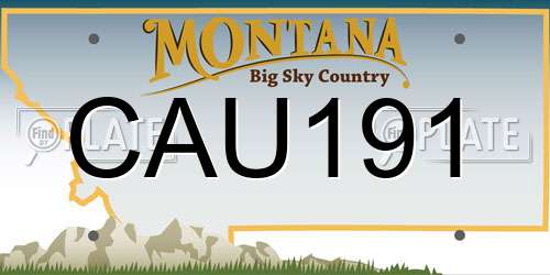 CAU191 Montana License Plate