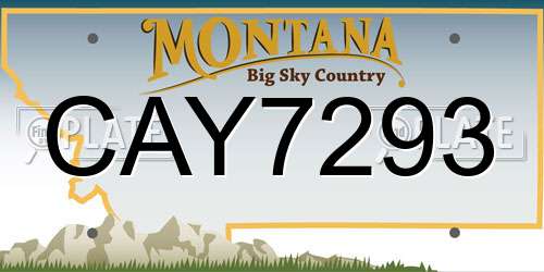 CAY7293 Montana License Plate