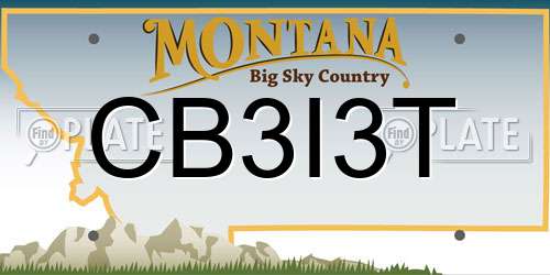 CB3I3T Montana License Plate