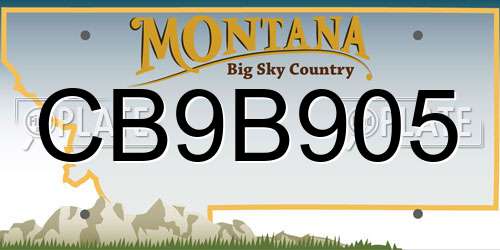CB9B905 Montana License Plate