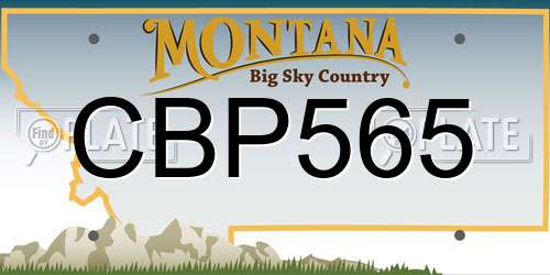 CBP565 Montana License Plate