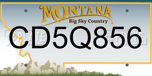CD5Q856 Montana License Plate