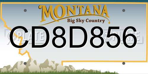 CD8D856 Montana License Plate