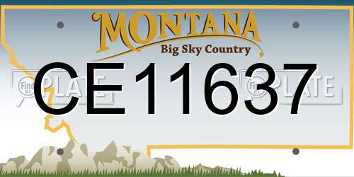 CE11637 Montana License Plate