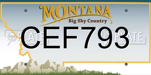 CEF793 Montana License Plate
