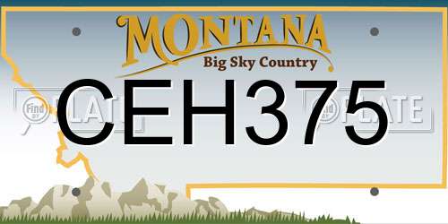 CEH375 Montana License Plate