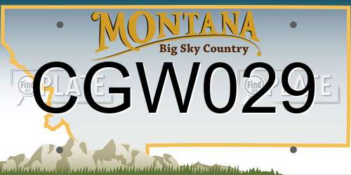 CGW029 Montana License Plate