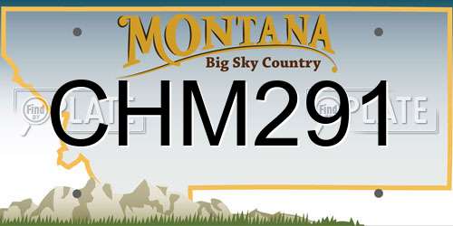 CHM291 Montana License Plate
