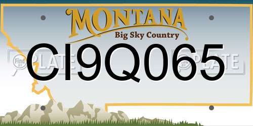 CI9Q065 Montana License Plate