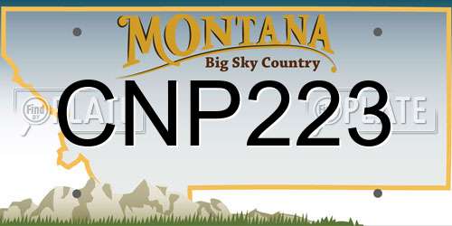 CNP223 Montana License Plate