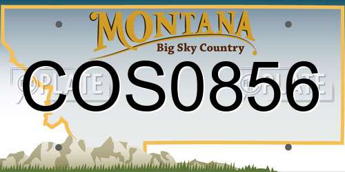 COS0856 Montana License Plate