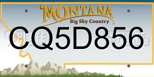 CQ5D856 Montana License Plate